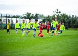 王子文代言,奶茶品牌遇,经营风波,DG真人视讯,DG真人,(Sports),DG视讯官网,DG真人官方平台