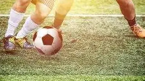 DG真人视讯 产品 100240 vxo