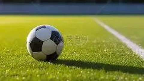 DG真人视讯 产品 100134 fxy