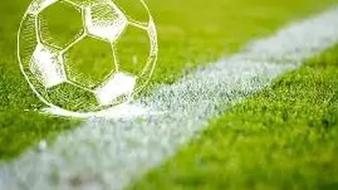 金螳螂：经营现金流提升14.1%，业绩稳健增长